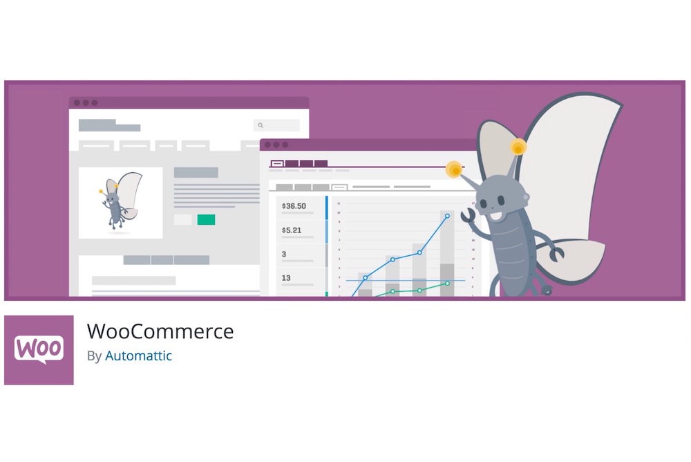 WooCommerce consultant in New York City